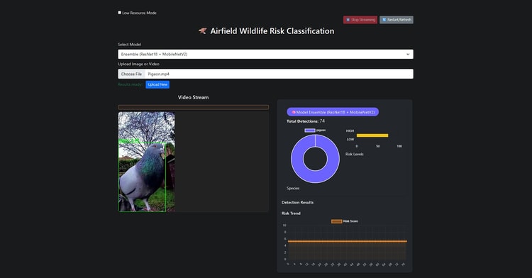 Airfield Wildlife Risk Classification